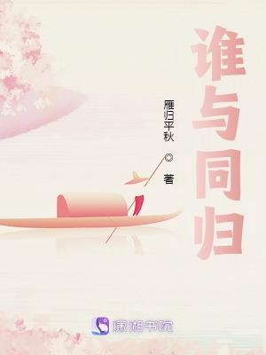 谁与归怎么读
