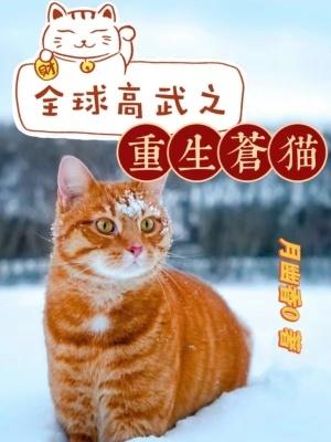 全球高武苍猫什么时候出场