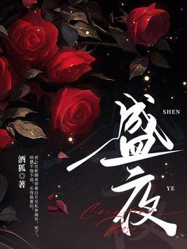 盛夜霆夏星橙