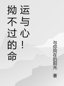 定制电脑系统