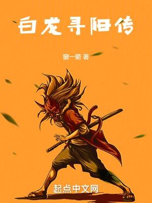 白龙阳个人简历