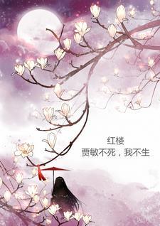 红楼梦贾敏有几个孩子