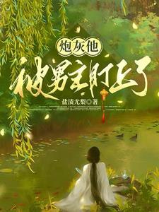 段正淳描述
