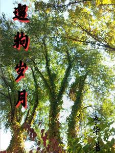 遛狗的短语