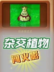我在火影忍者签到