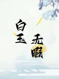 白玉无瑕打一字谜底是什么字