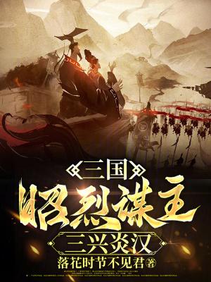 三国昭烈谋主三兴炎汉无错字