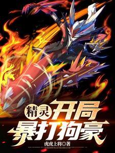 宝可梦火系宝可梦