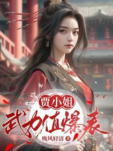 红楼梦贾家小姐
