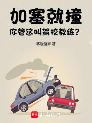 你管这叫驾校教练?(1-133)