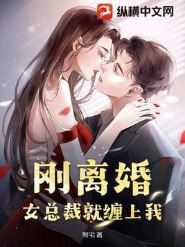 总裁离婚就离婚