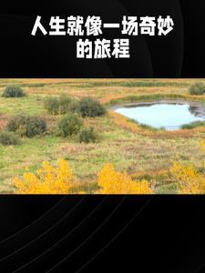 言情小故事100字