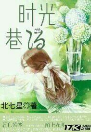 时光巷陌18颗手串