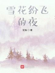 有一句歌词是雪花纷飞