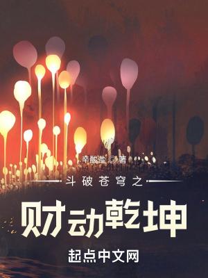 斗破苍穹之斌纣承