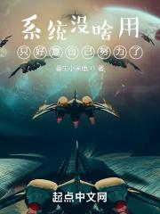 系统什么的不干了