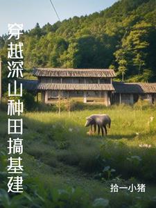 尼卡海贼王