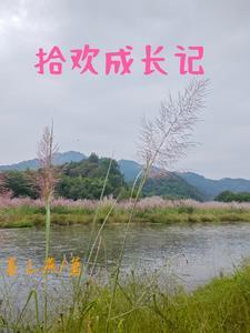 拾起成长的点滴作文600字