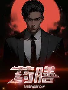 药膳功能可以熬中药吗