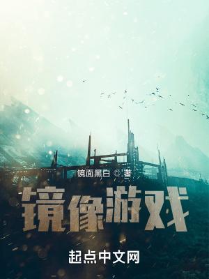 镜像游戏攻略