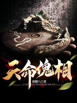 天命是哪两把枪