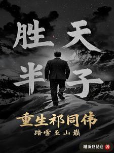 踏雪至山巅多少章