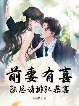 前妻有喜全文免费阅读全本免费
