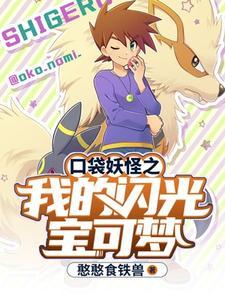 口袋妖怪 闪光有什么用