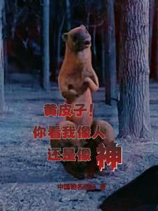 人皮吧2