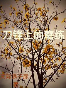 刀锋上的救赎百度百科