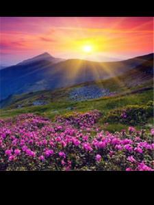 夕阳醉了歌词