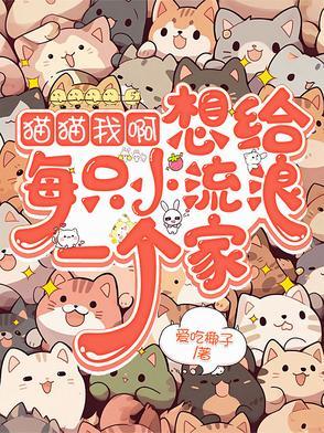 给流浪猫一个温暖家