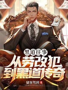 我想看黑道