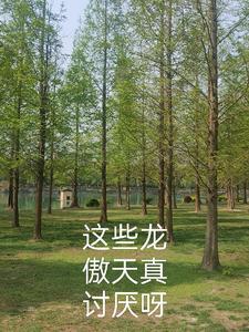 这个龙傲天 软萌
