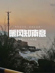 南风知我意gl酒暖春深结局