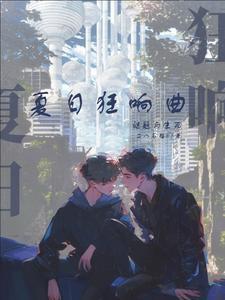 夏日狂响曲破解版