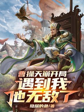 曹操天地间