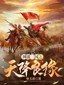 网游三国npc的