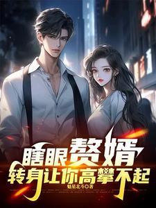 赘婿玷污