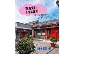 四合院1948年没有傻柱只有