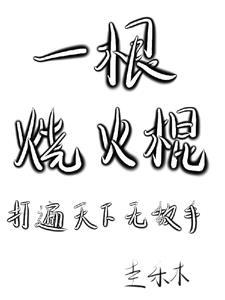 烧火棍和我