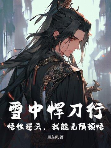 雪中悍刀行武道境界