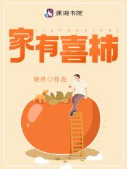 家有喜妇原著