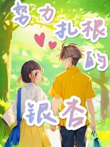 法师奇幻之旅攻略