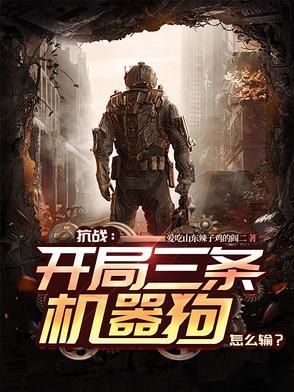 抗战开局一个美械团