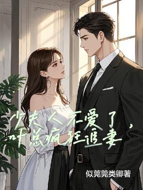 少夫人她又a又妖叶宁全文免费