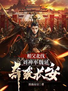 三国刘禅是哪位夫人所生