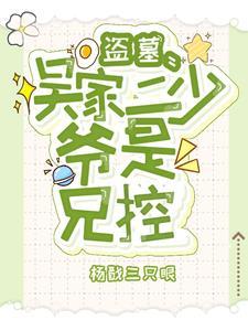 我拐了吴家小少爷TXT