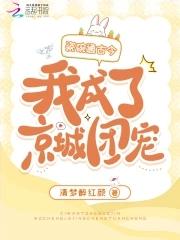 瓷碗百科