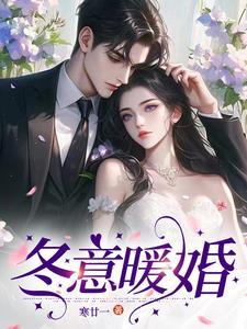 先生结婚吗我请你无弹窗